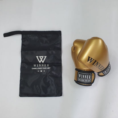 Ảnh của Găng Boxing Hiệu Winner Da Bóng (Có Túi Vải)